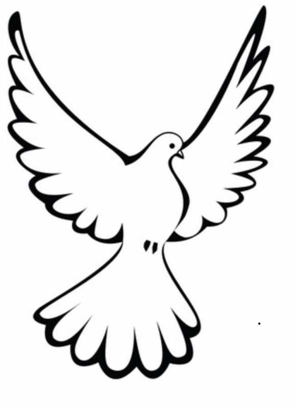 Маленький голубь рисунок