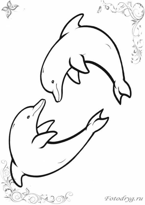 Раскраска "дельфины"