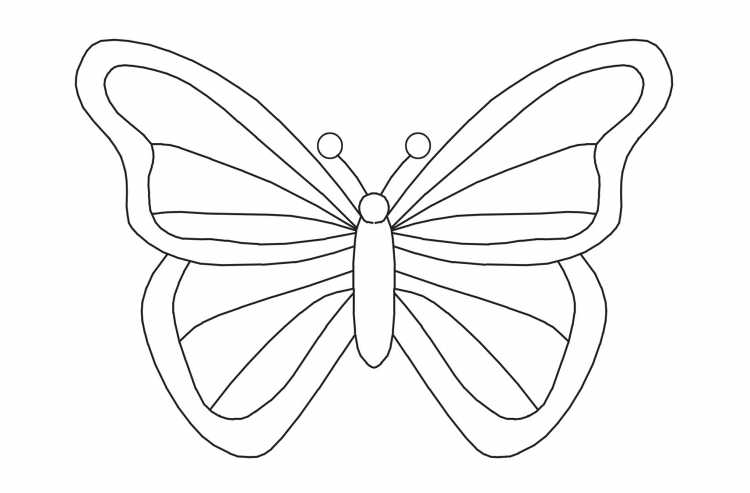 Бабочка раскраска маленькая