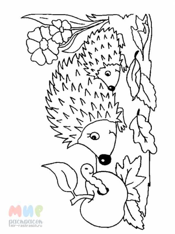 Раскраски осень для детей 5-6 лет