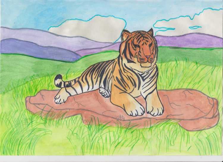 Животные из красной книги рисунки