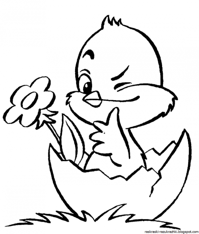 Цыпленок раскраска для малышей