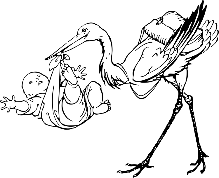 Аист с малышом