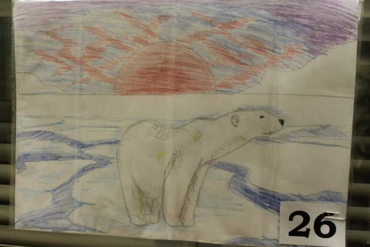 Антарктида рисунок для детей