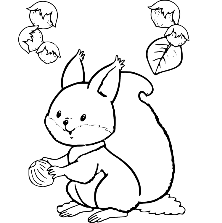 Милые белочки раскраски