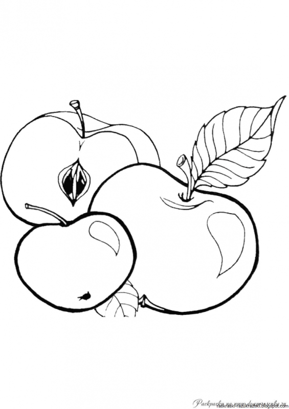 Половинка яблока раскраска