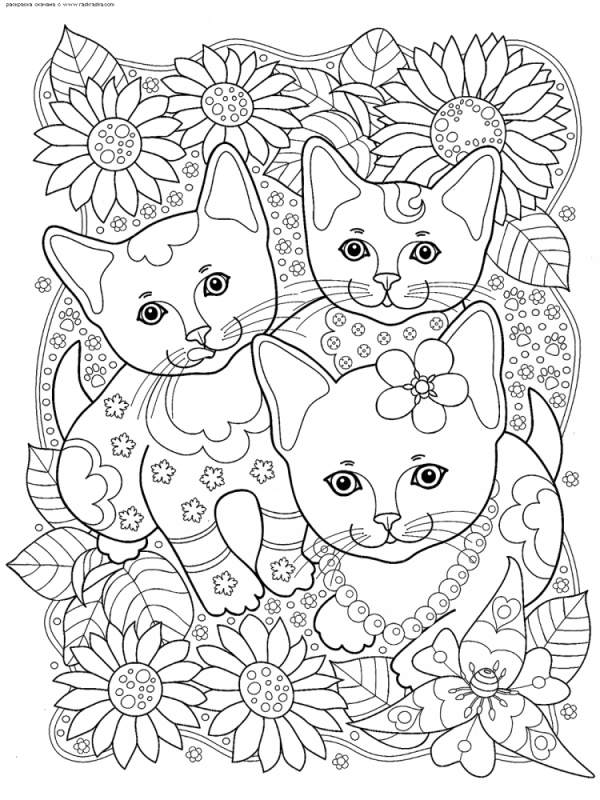 Раскраски котики новогодние милые