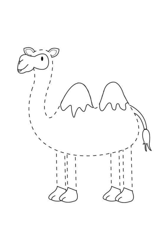 Верблюд мультяшная раскраска