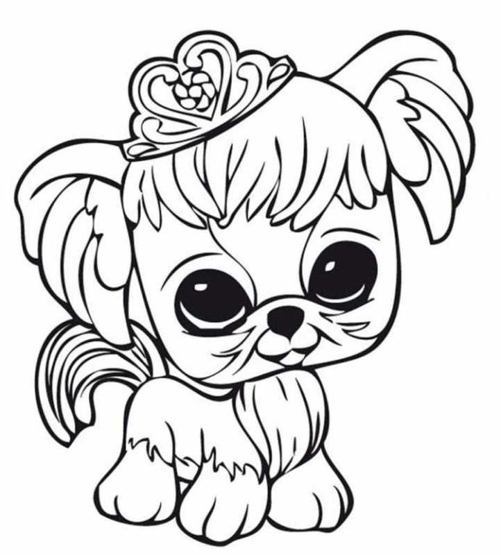 Раскраска "собаки"