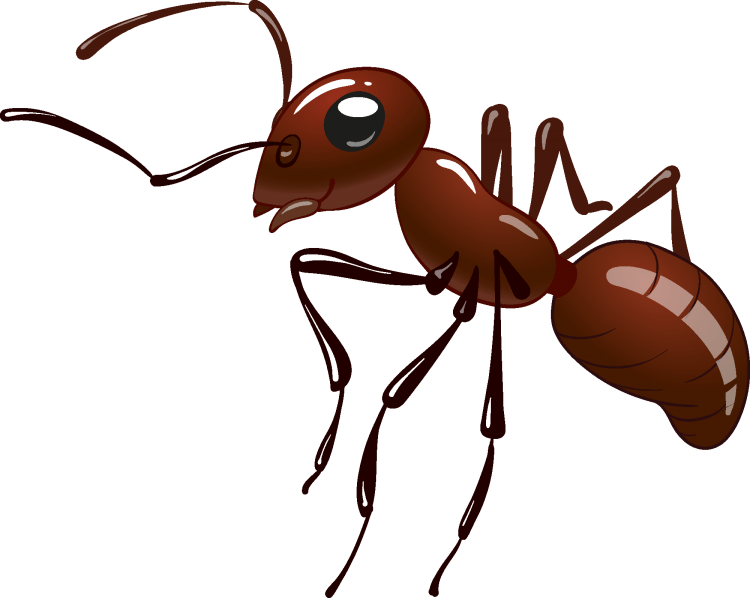 Скетчи насекомых