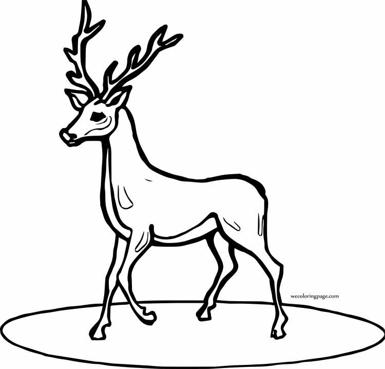 Раскраска Олененок Бэмби с мамой