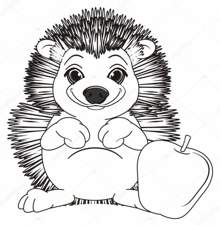 Еж раскраска