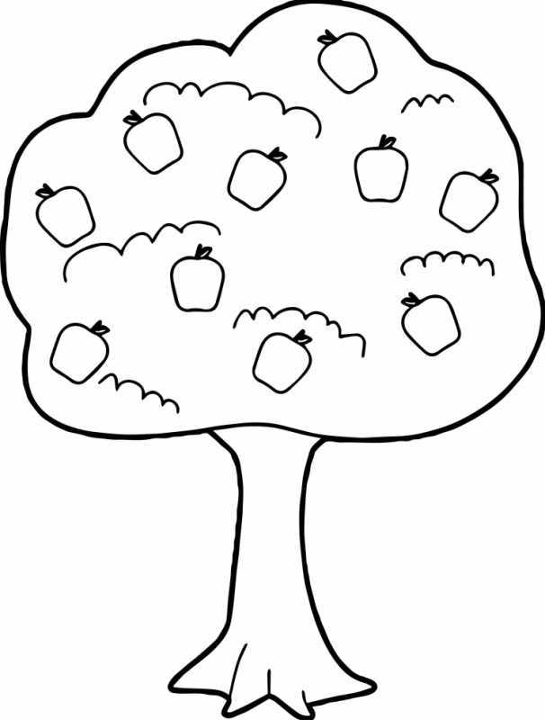 Дерево раскраска для детей