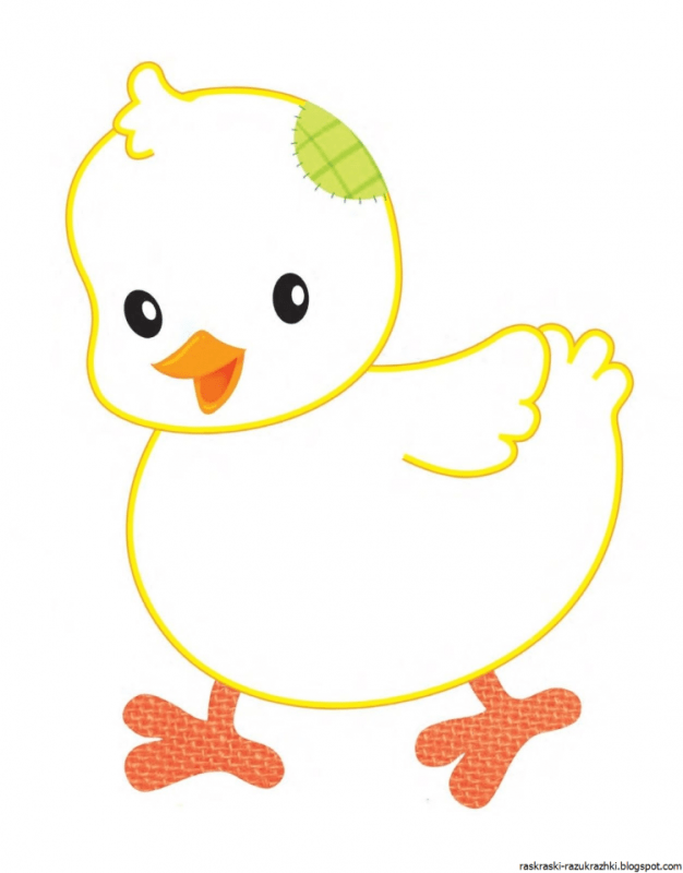 Цыпленок. Раскраски