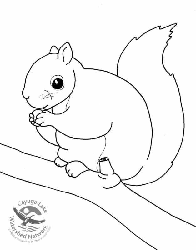 Белочка орешки грызет из сказки о царе Салтане