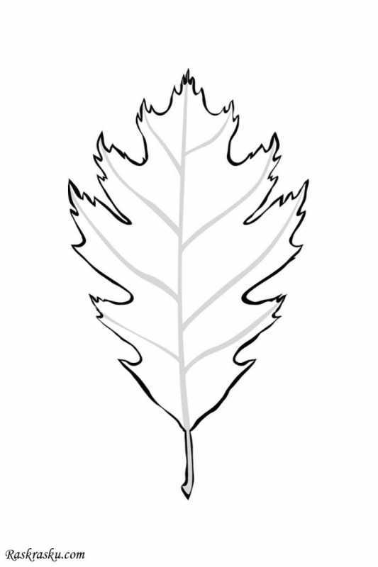 Осиновый лист трафарет