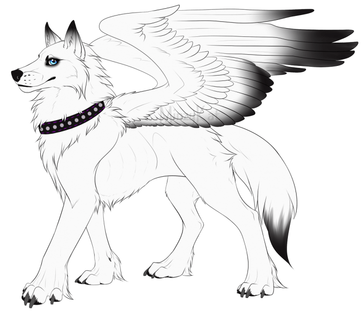Раскраски волки с крыльями
