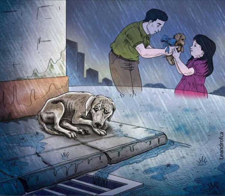 Люди не бросайте животных