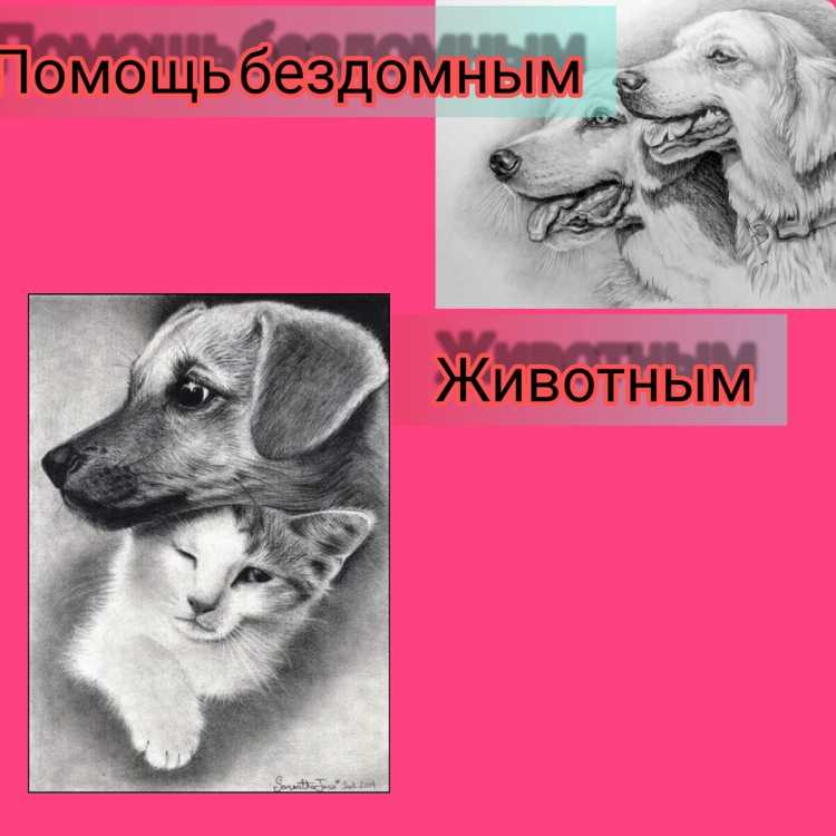 Бездомный кот рисунок карандашом