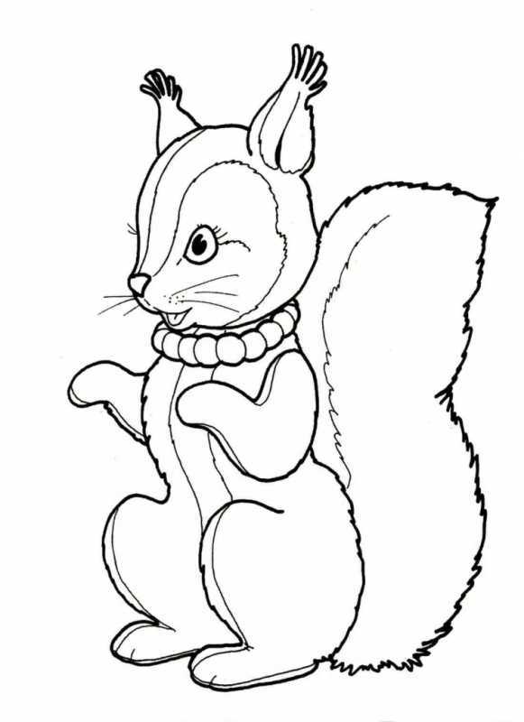 Белочка раскраска для малышей