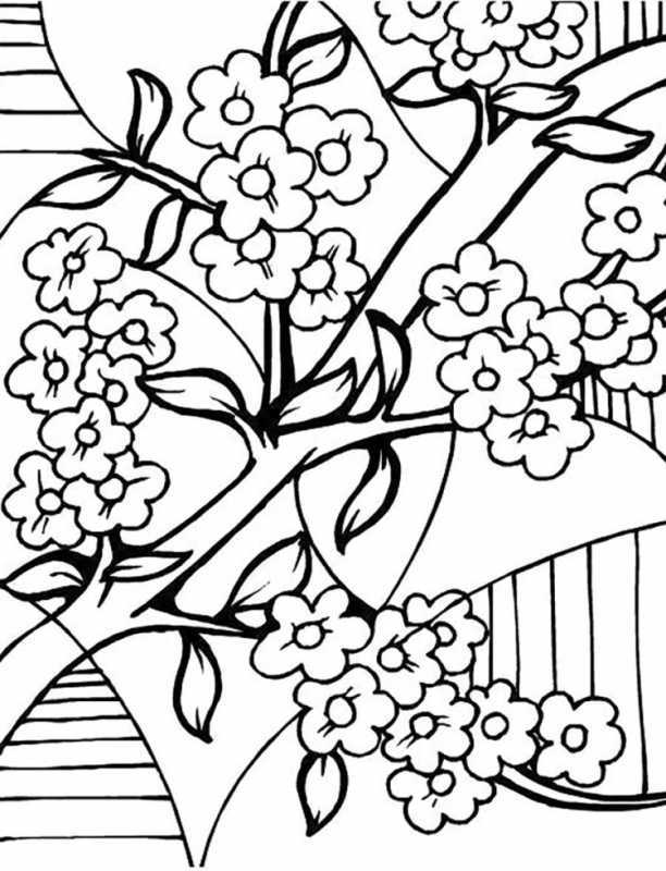 Раскраска. Весна