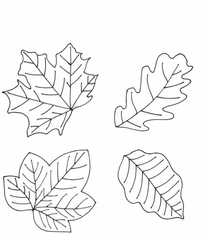 Осиновый лист раскраска