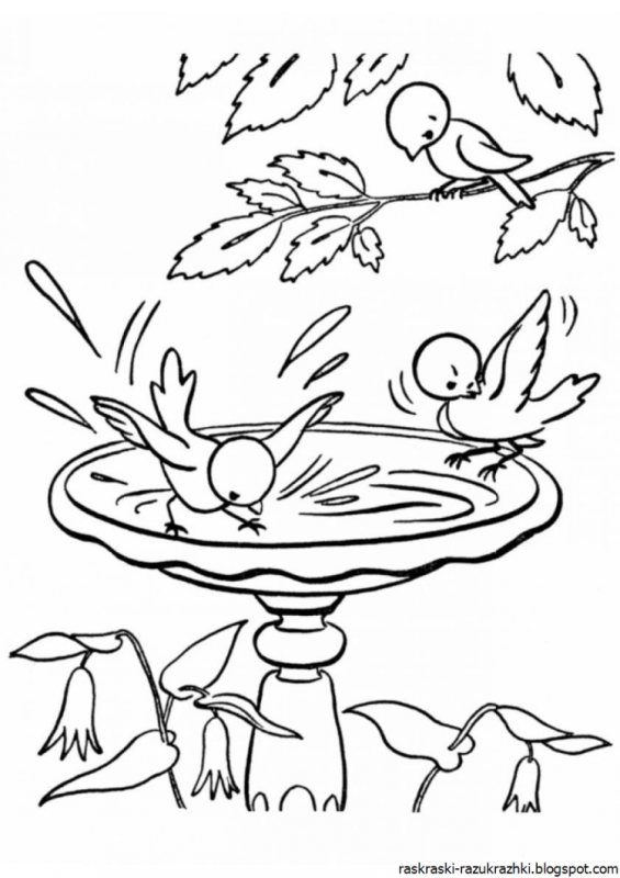 Раскраски Весна красивые