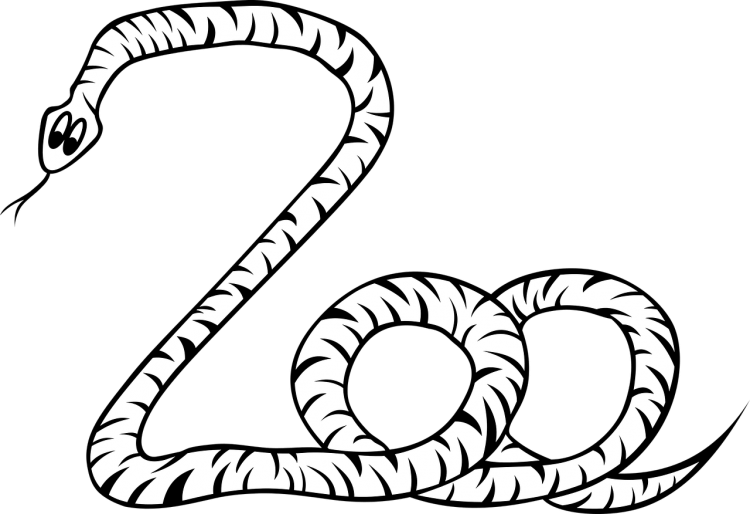 Змея раскраска
