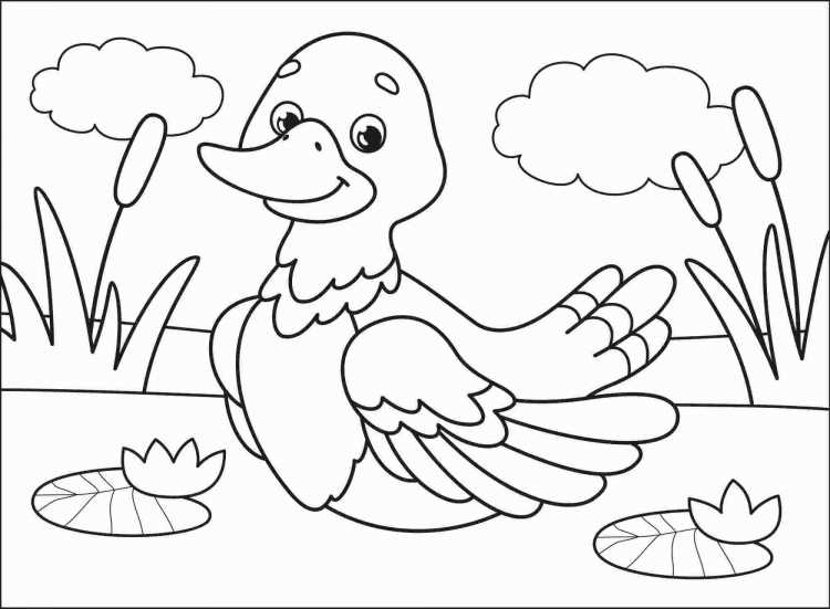 Утка контур