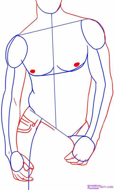 Поэтапное рисование мужского тела