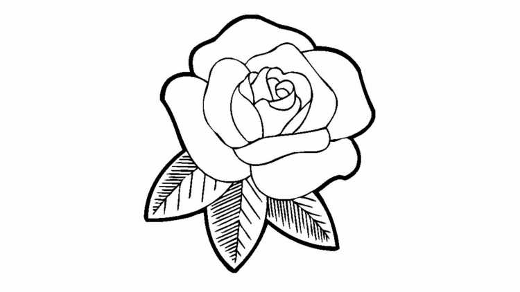 Рисунки для раскрашивания