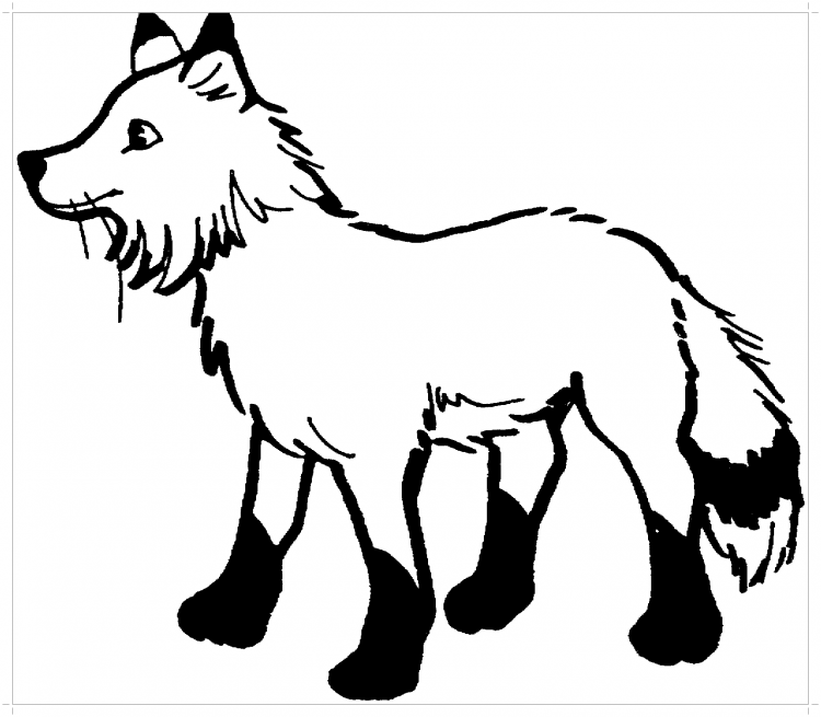 Чернобурка раскраска