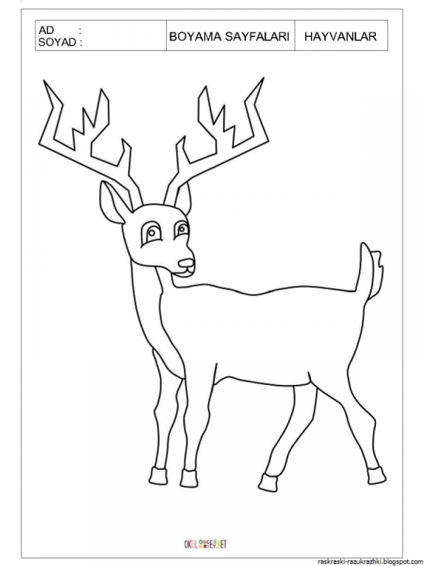 Раскраска олень антистресс для детей