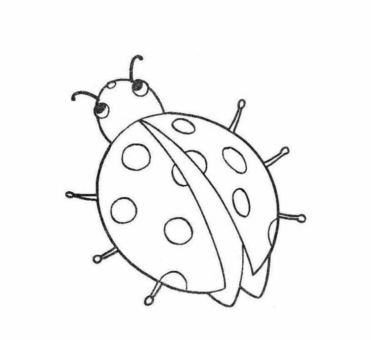 Разукрашки насекомые