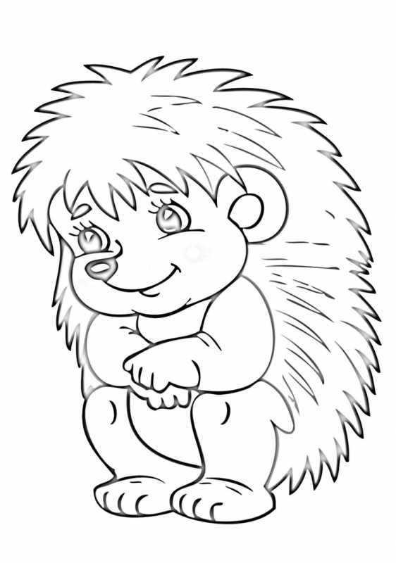 Ёжик раскраска для детей