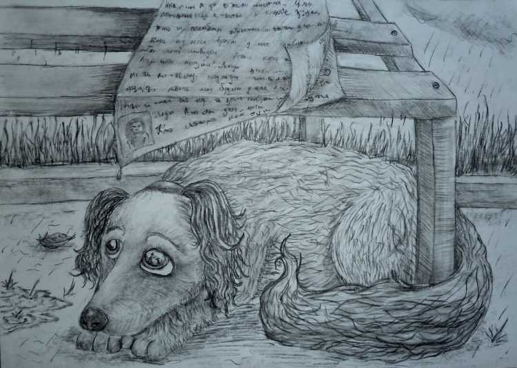 Бездомные животные глазами детей