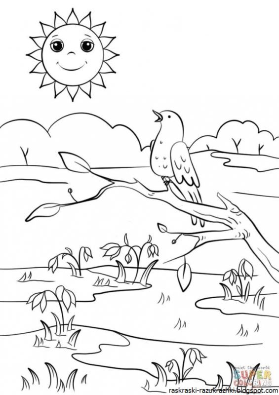 Весенние птицы раскраска