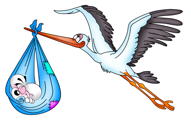 Дальневосточный Аист рисунок