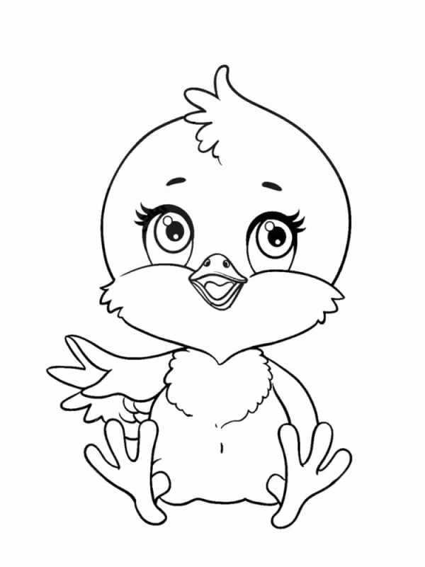 Цыпленок. Раскраски