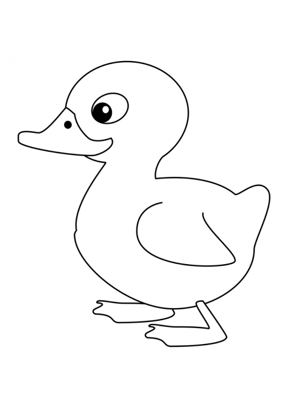 Раскраска утки