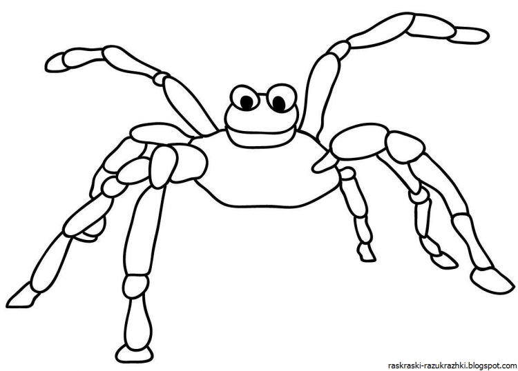 Раскраска насекомые паук