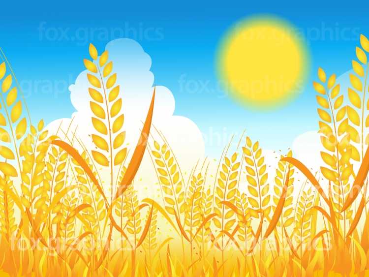 Дети в поле с колосьями