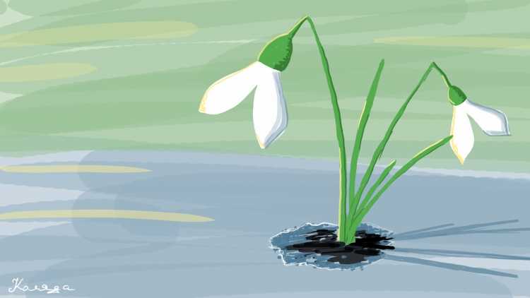 Подснежники мультяшные