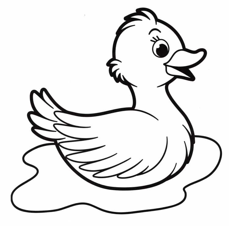 Утенок раскраска