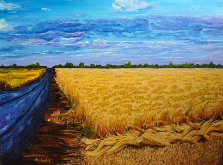 Каратай Золотая рожь