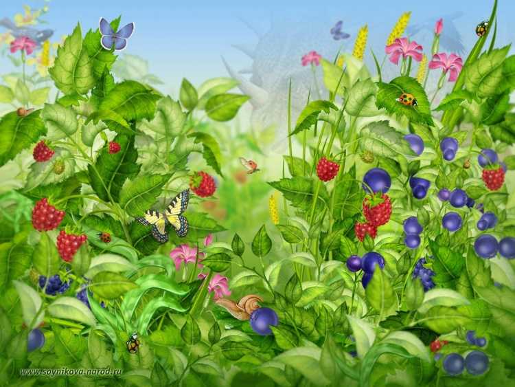 Сказочная Полянка с цветами