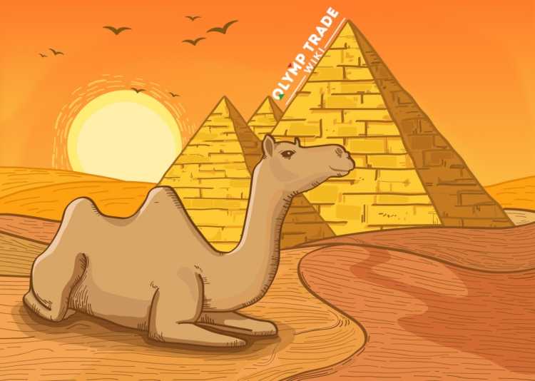 Дом в пустыне для детей