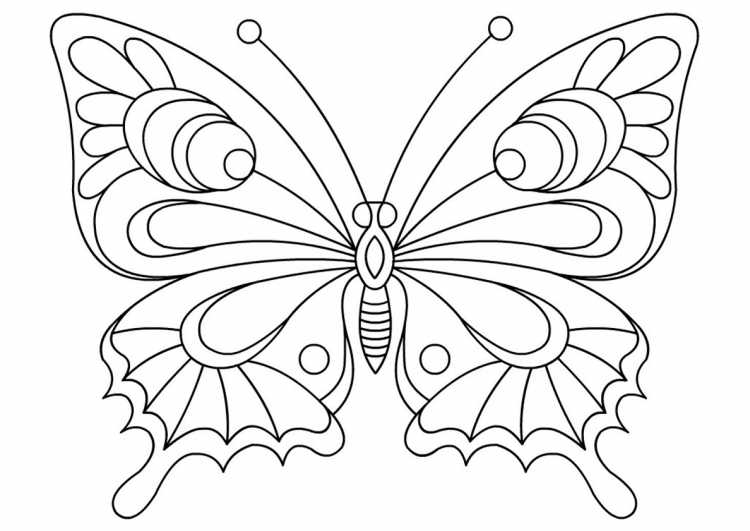 Раскраска "бабочки"