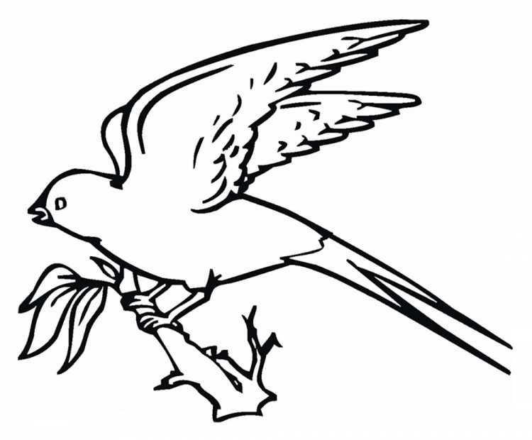 Ласточка раскраска