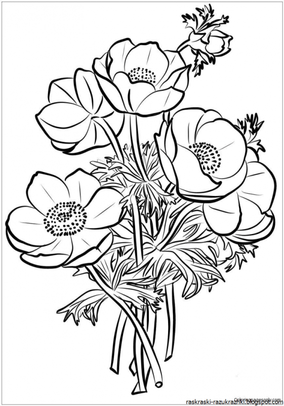 Букет ромашек раскраска для детей